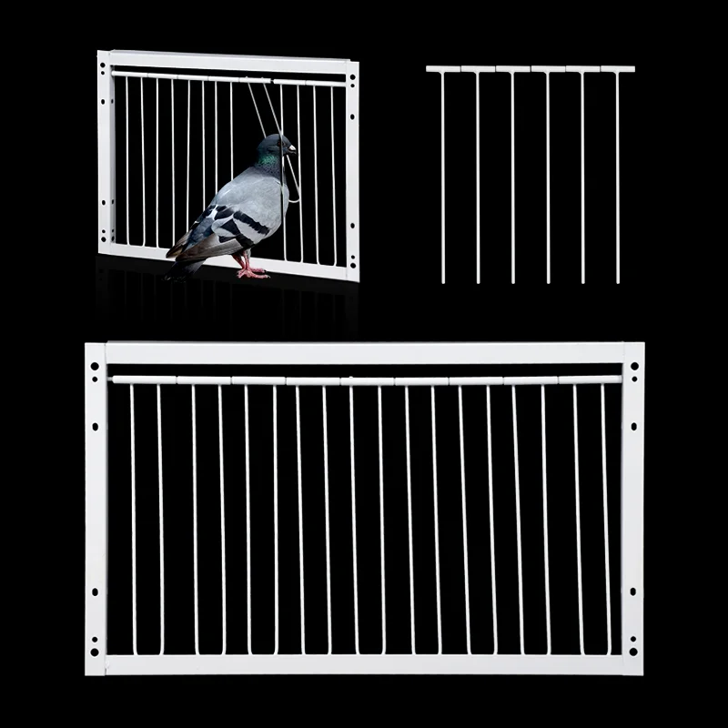 #79 Compare Birdhouses Before You Buy