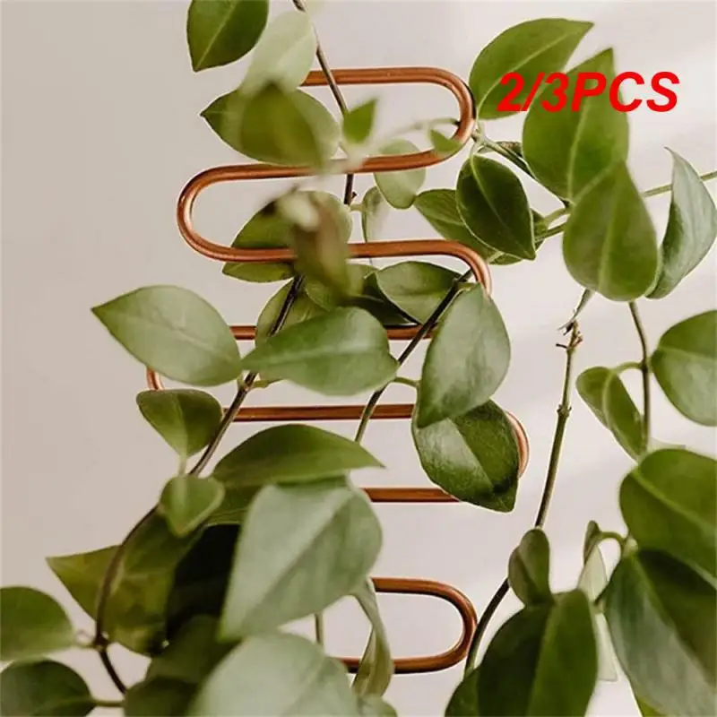 2/3PCS Plant Fixing Rod Complete Specifications 10 * 34cm Plant Climbing Frame Flower Pot Holder Strong Toughness Iron Geometry