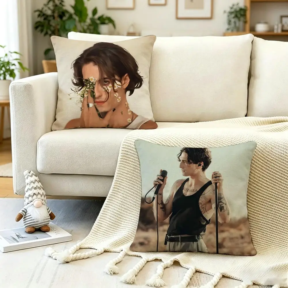 Pop Singer D-Damiano D-David Cushion Cover Anti-dustmite Pillowcase Invisible zipper silky short plush Sofa cushion cover