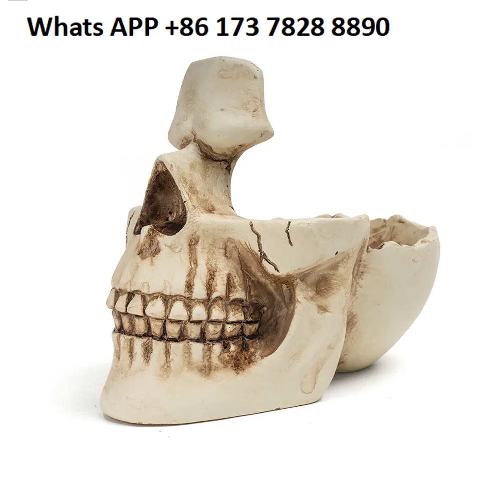 

Смола череп ремесла орнамент шкатулка для драгоценностей рамка для очков коробка для хранения персонализированные подарки изменение ключей для хранения