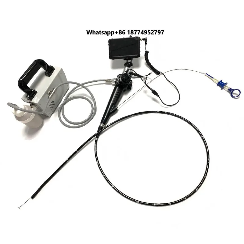 LTEG30 Multifunctional Portable Endoscope, Flexible Video Gastroscope, Enteroscope, with Mini Pump