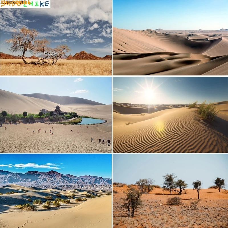 

Vast Sand Dunes Blazing Sun Desert Photography Backdrops Sunset Sky Rocks Safari Landscape Dried Tree Birthday Background DS-05