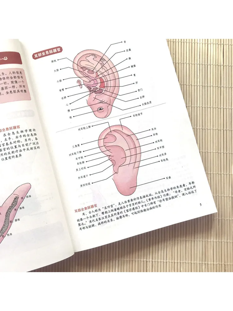Book-Winshare Manual Massage To Cure All Diseases