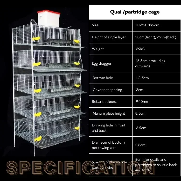 Farm family use quail cages for egg production