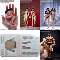 TBLeague T01A/B T02A/B T03A/B T04A/B T05A/B TM01/2A 1/12 Anime Girl Action Figure Model 6'' Female Pale Big Breast Flexible Body