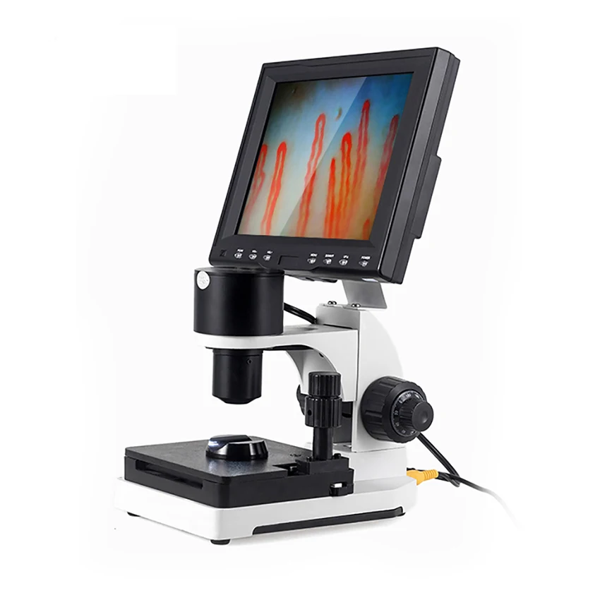 Professional Nailfold Capillary Microcirculation USB HD Digital Microscope Detector Microcirculation