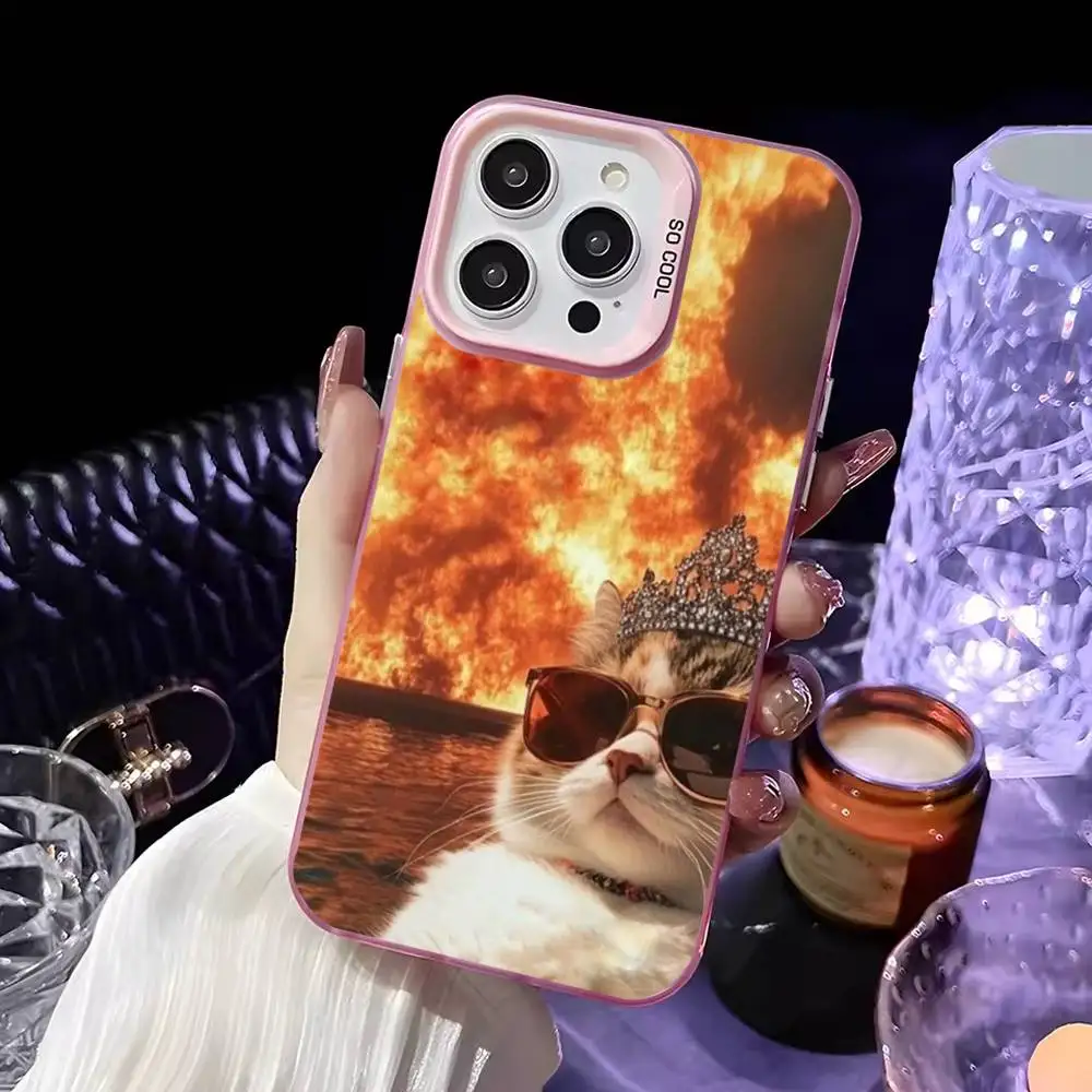 Etui na telefon Chill Cat Selfie do iPhone'a 16,15,14,13,12,11,Mini,Pro,MAX Różowe Matowe Odporne na Wstrząsy
