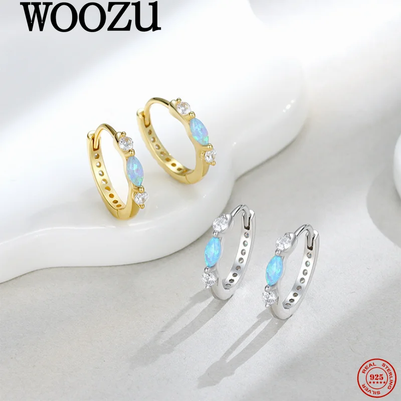 

WOOZU 925 Sterling Silver Luxury Temperament Blue Opal Zircons Hoop Hug Earrings for Women Party Wedding Charm Exquisite Jewelry