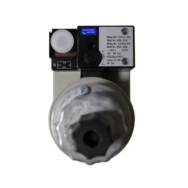 صمام الملف اللولبي للصمام الكهرومغناطيسي لمعدات الاحتراق #3