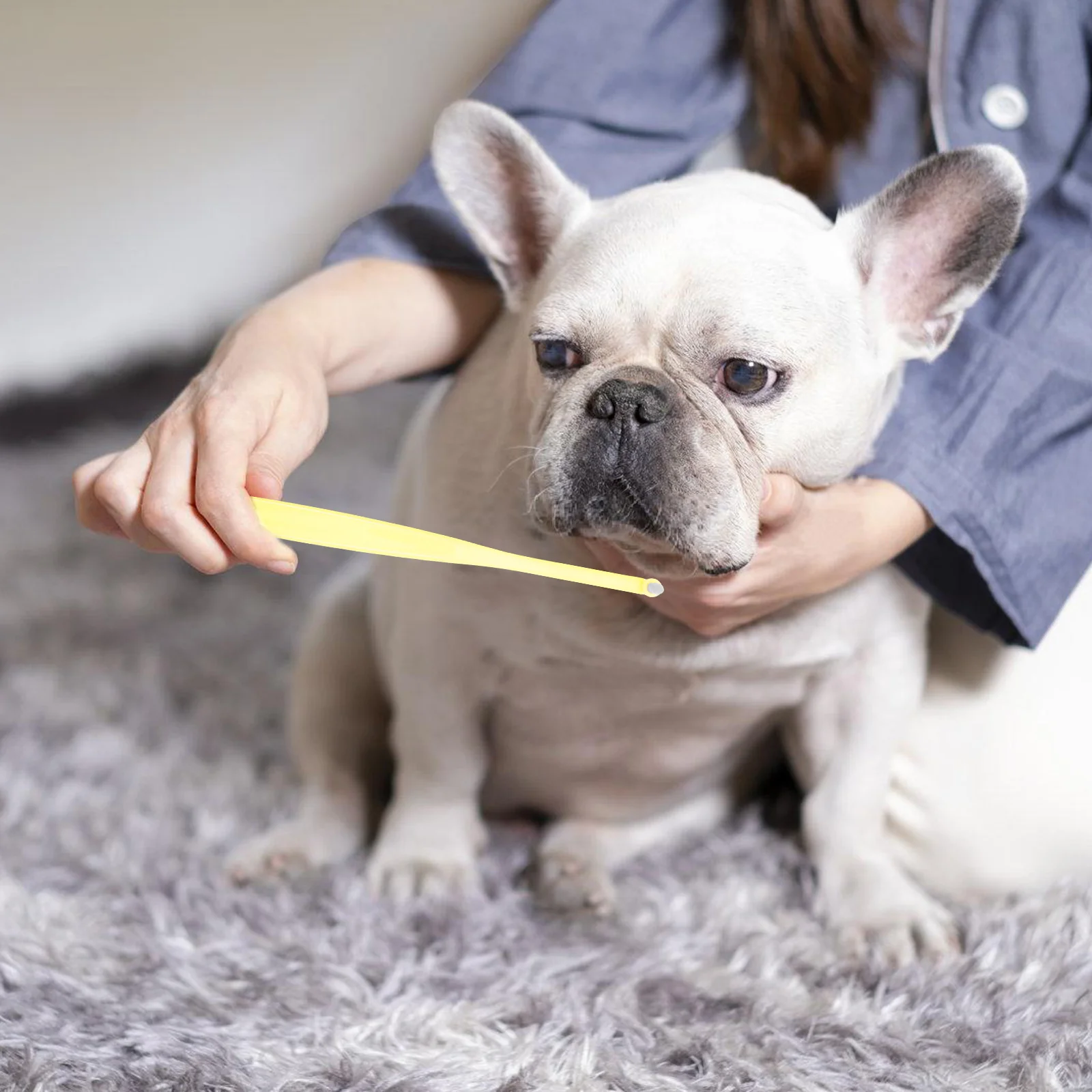 

Headed Pet Toothbrush Soft Bristles Oral Care for Small Breed Dogs Cats Puppy Kitten Training Kit Small Dog Teeth Cleaning