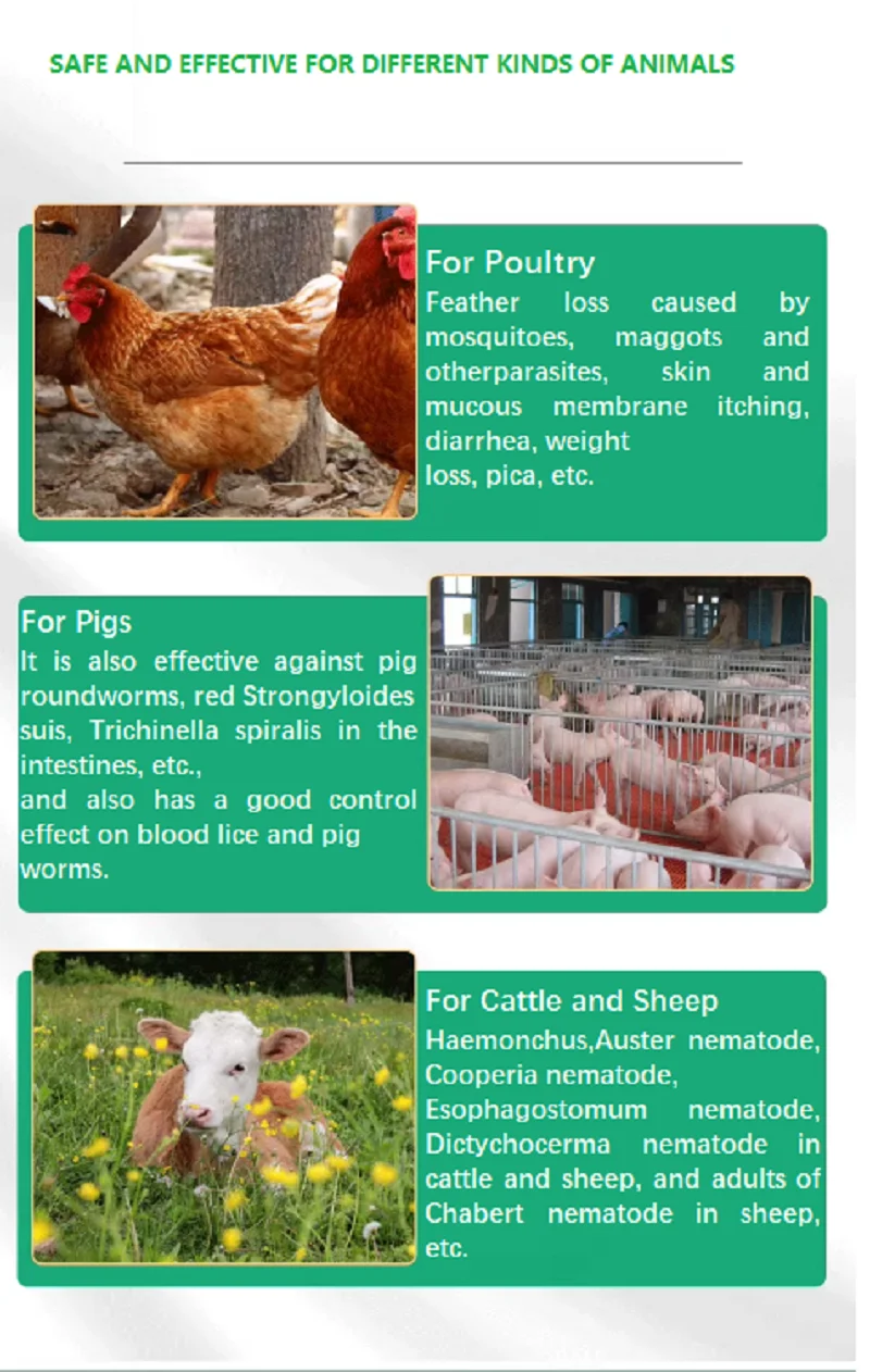 Veterinary internal and external deworming poultry, pigs, cattle, sheep and dogs five-in-one vermifuge and full deworming beasts