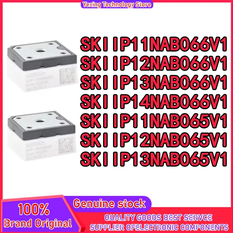

SKIIP11NAB066V1 SKIIP12NAB066V1 SKIIP13NAB066V1 SKIIP14NAB066V1 SKIIP11NAB065V1 SKIIP12NAB065V1 SKIIP13NAB065V1 Power module