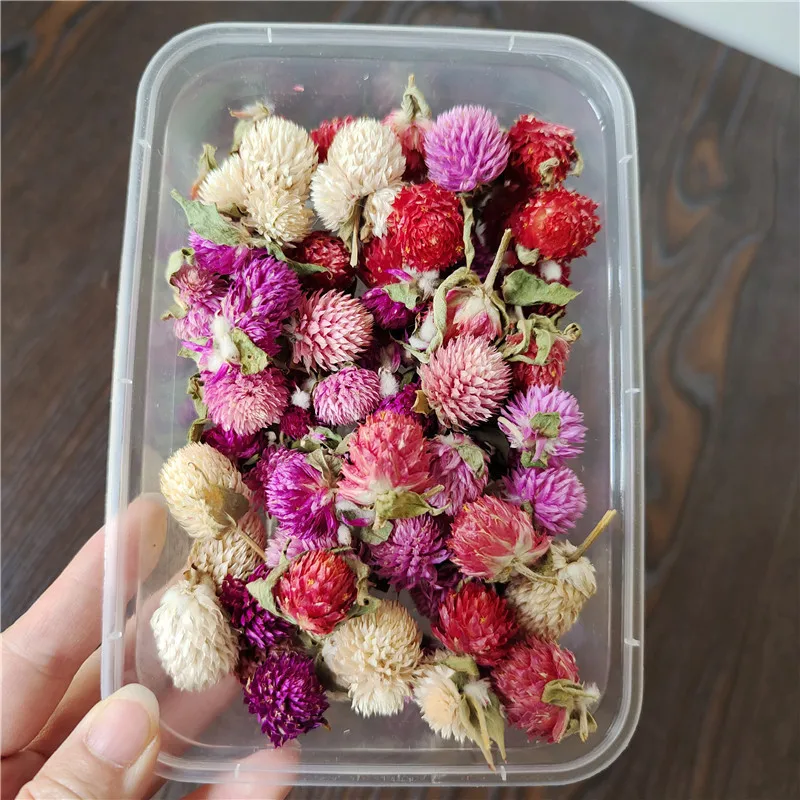 

Epoxy Resin Dried Flowers Wedding Party Festival Decoration Real Dry Plant Making Photo Frame Souvenirs Craft DIY Accessories