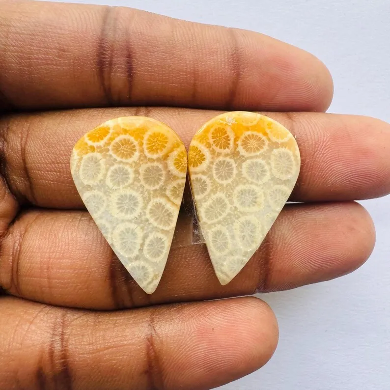 Fossil Coral Pear Shape Cabochon Matching Pair Gemstone For Jewelry Making,, 28X18X4 mm