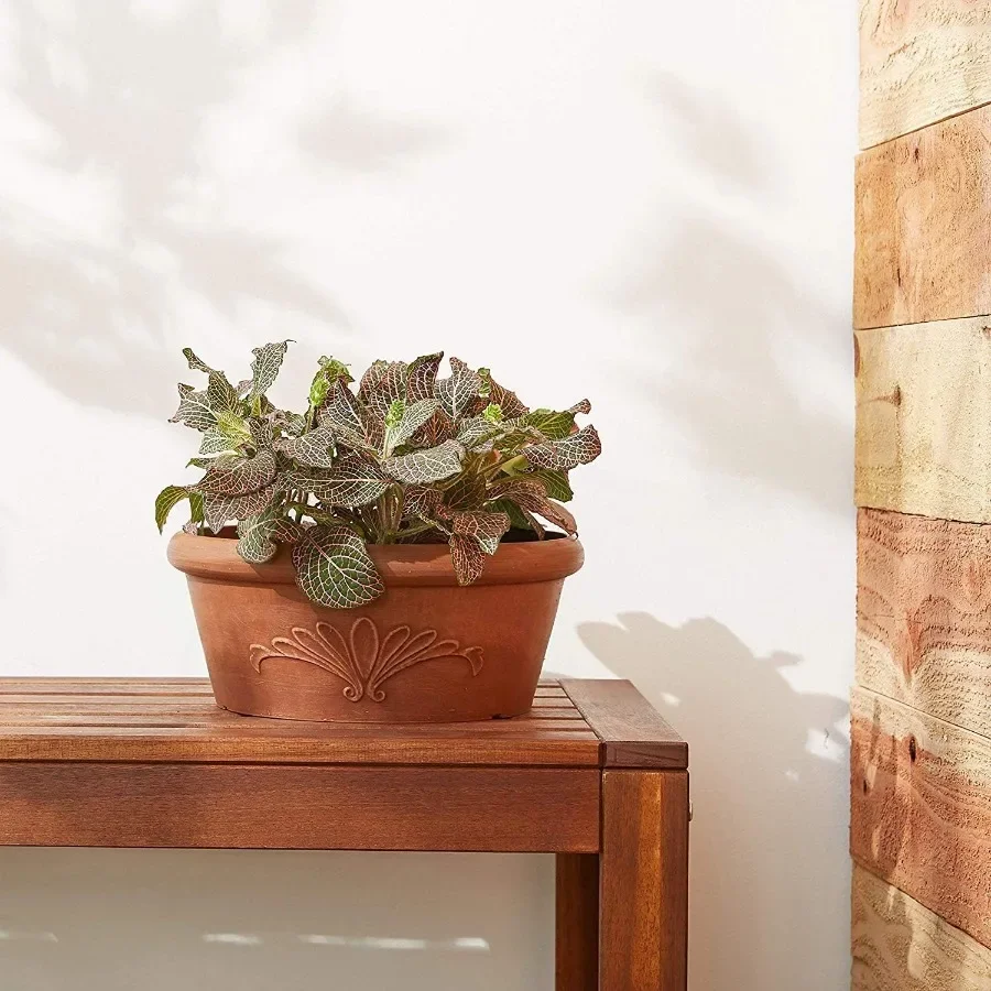 

10 Inch Terracotta Style Planter - Composite Pot with Drillable Base for Succulents & Bonsai