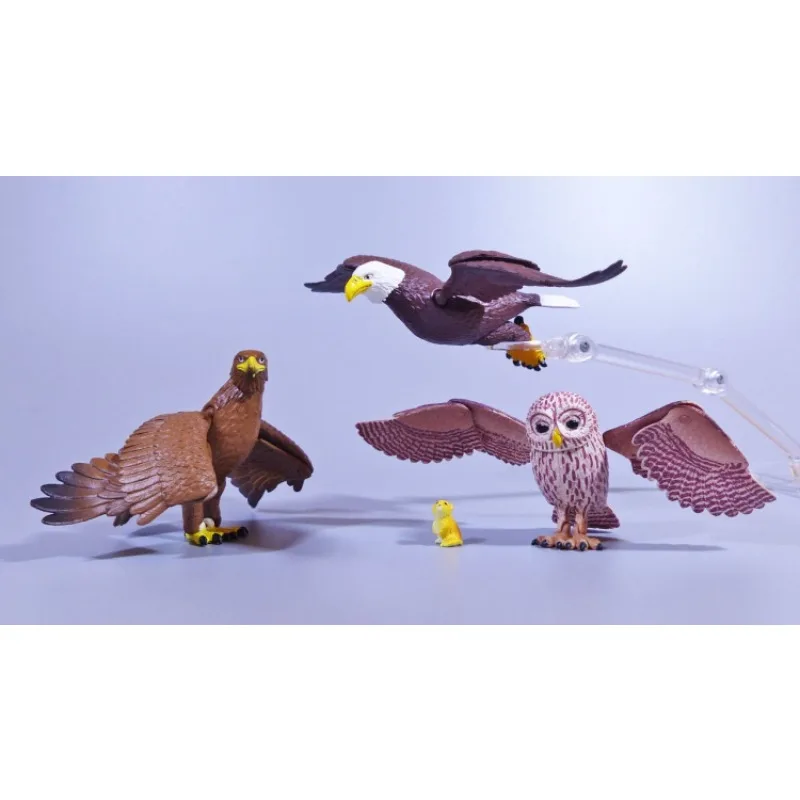 Original TAKARA TOMY Gashapon The World of Birds Movable Vulture Owl Animal Action Figure Model Toys Gift Collection Ornament