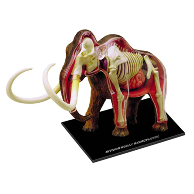 Mammoth 4d master puzzle montagem brinquedo animal biologia órgão anatômico modelo de ensino médico