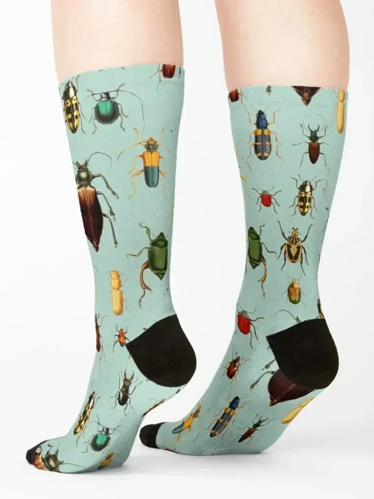 Antique pattern - Beetles and Bugs Socks men cotton high quality crazy luxe moving stockings Women's Socks Men's