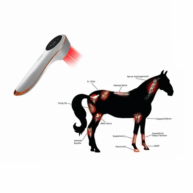 handheld portable vet laser treatment device low level laser photobiomodulation whole body therapeutic low level laser