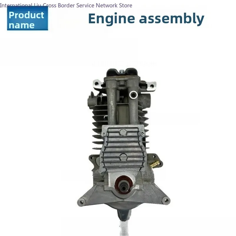 Replace BR800 engine assembly blower engine 4283 020 0200