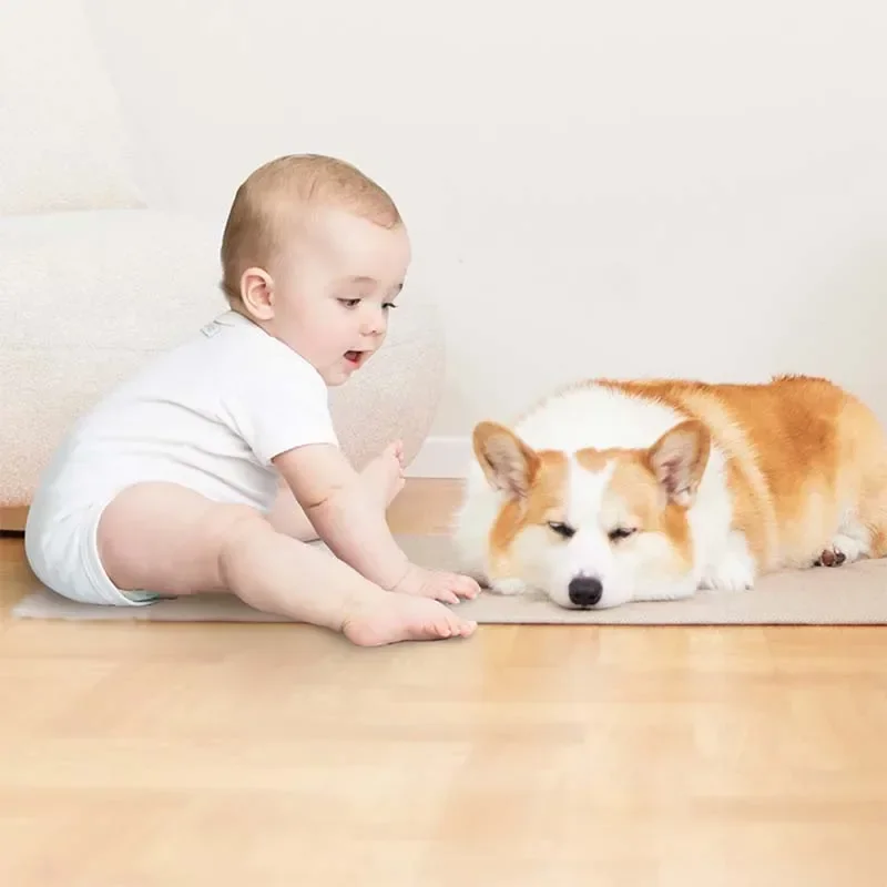 Description Picture 5 of itemOriginal Xiaomi Mi Home Daily Element Floor Cleaner 200ML (for Robotic Vacuum Cleaners and Floor Scrubbers)