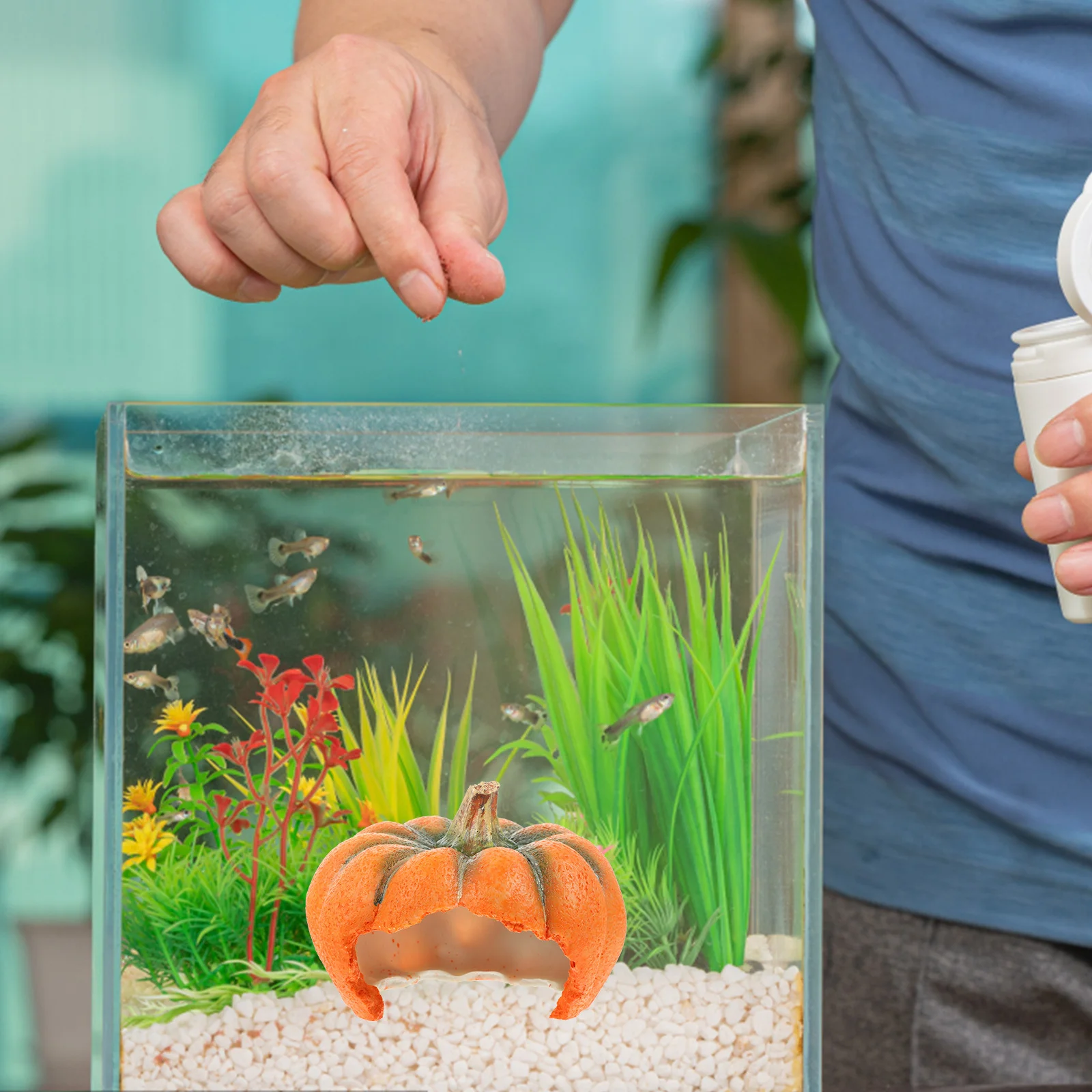 

Aquarium Pumpkin Decor Resin Craft Fish Tank Landscaping Prop Lovely Hideaway Unique Landscape Guest Room Essentials