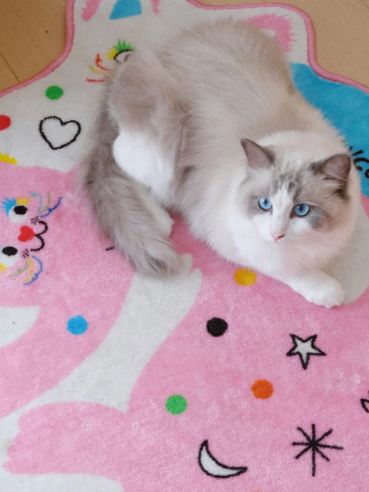 

Коврик Sweet Heart для спальни, впитывающий, нескользящий, круглой формы, из прочного нейлонового материала, в мультяшном стиле, для домашнего декора