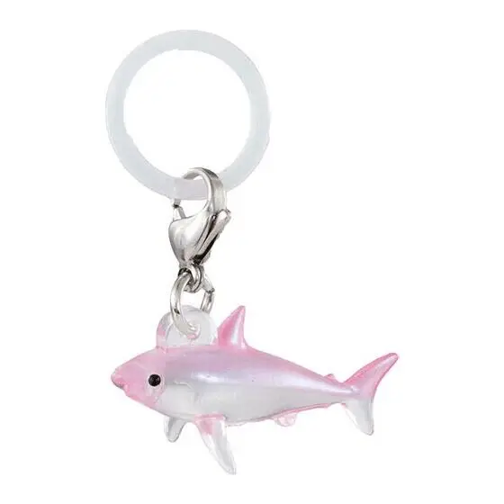 BANDAI Action Figures Model Dolphins and Whales Tag Small Ornaments Capsule Toys Ornament Original