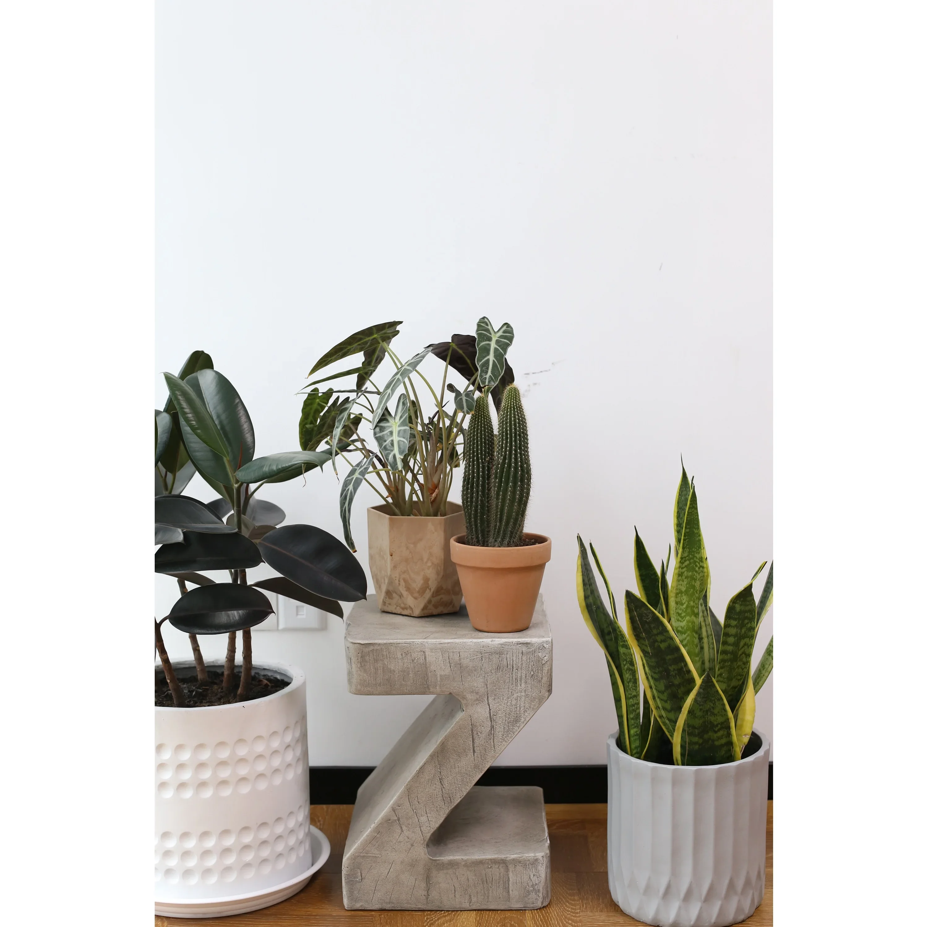 طاولة القهوة ذات الحافة العتيقة البسيطة على شكل حرف Z، طاولة جانبية بتصميم عتيق من الشمال، طاولات خشبية لغرفة المعيشة #3