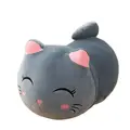 25 cm gris cerrado