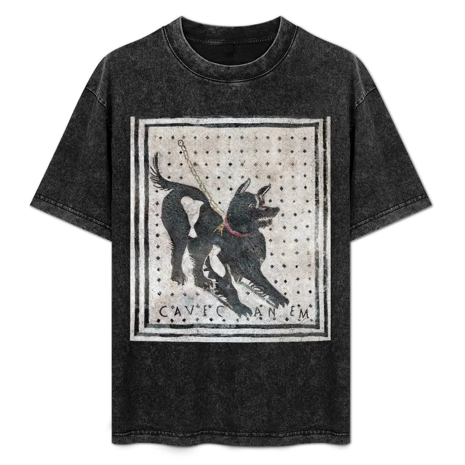

Cave Canem, Beware of Dog 2 (HD) T-Shirt fashion shirts customs Louboutins rapper graphic tees heavy weight t shirts for men
