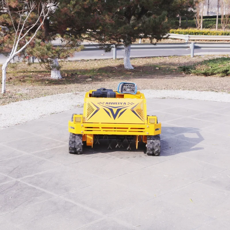 Customized Remote C…