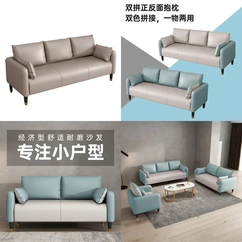 Nordic Cat Scratching Sofa for Small Apartment Living Room Simple Double Two or Three Seat for Rental Room Clothing Store