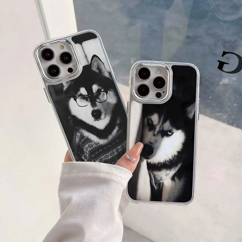 Animal Husky Cute P… - image