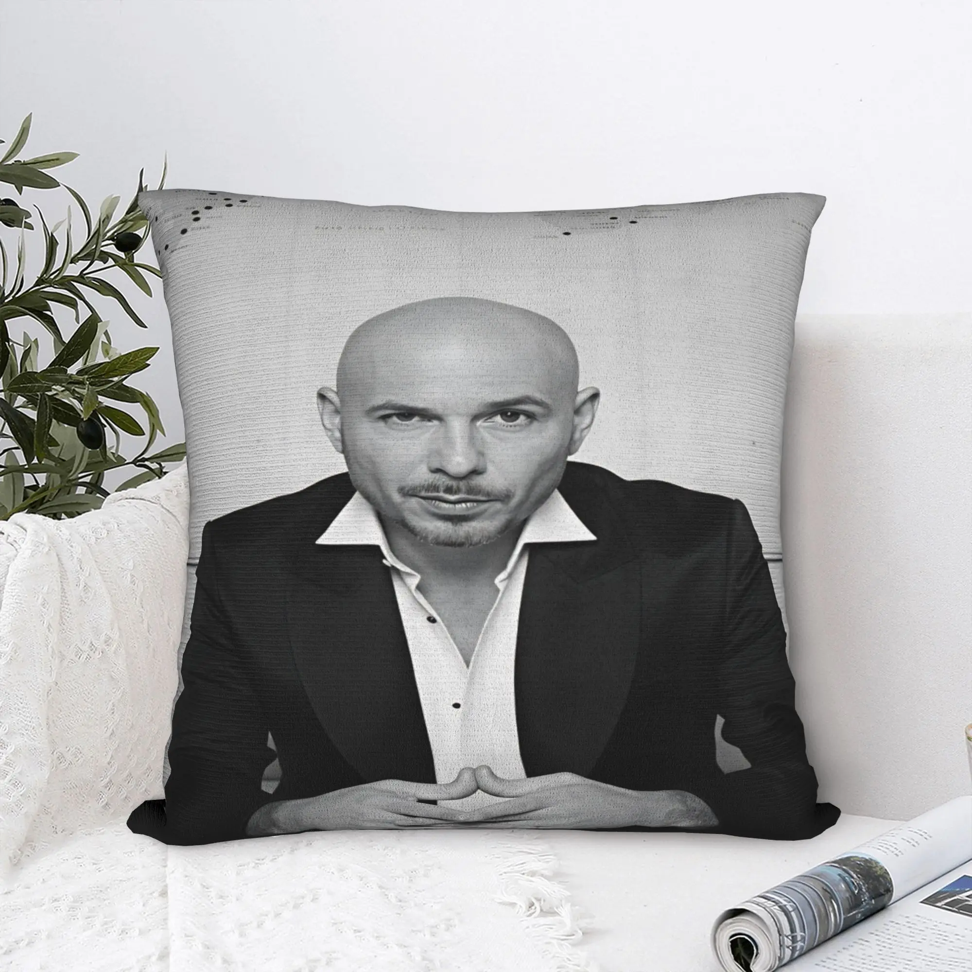 Pitbull Mr Worldwide Tour Pillow Case  Funny Pillow Cover Comfy Pillowcases For Office Car Home Decor
