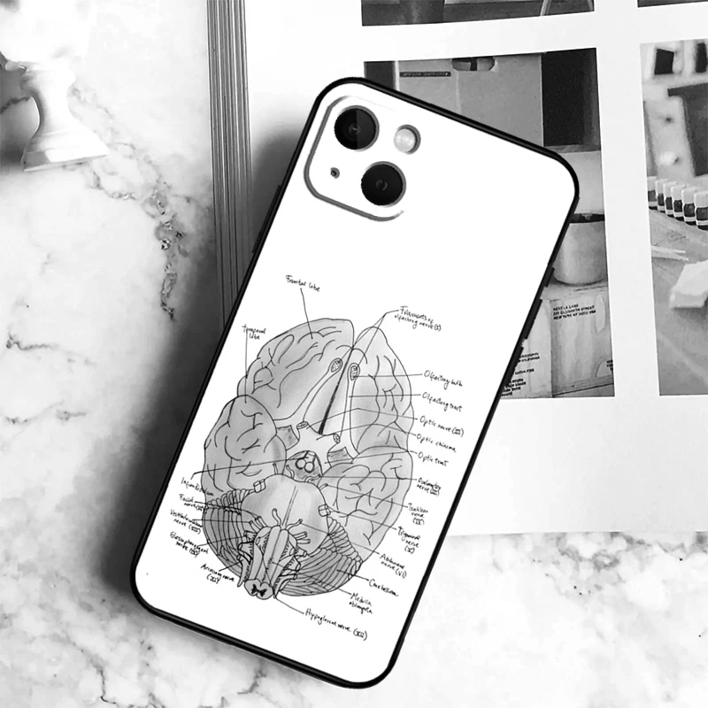 Anatomy Brain Case For iPhone 11 12 13 14 15 16 Pro Max Plus 12 13 Mini X XR XS Max 7 8 Cover Coque