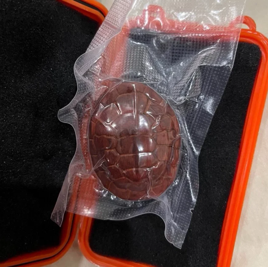 

EDC Purple Sandalwood Tortoise Shell Shaped Push Toy fidget slider decompression toy