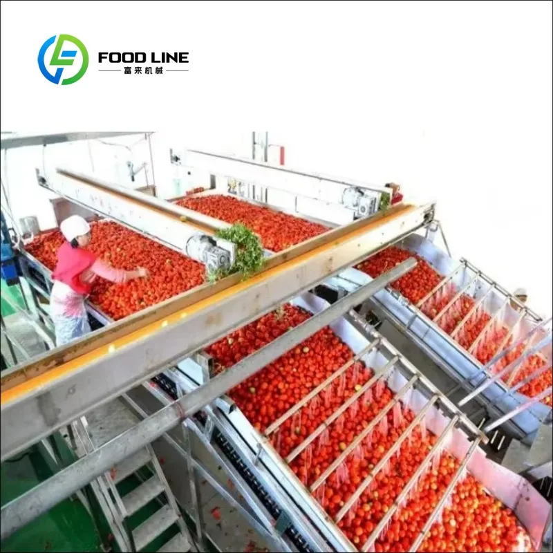Small 500kg/h chili sauce production line ketchup processor