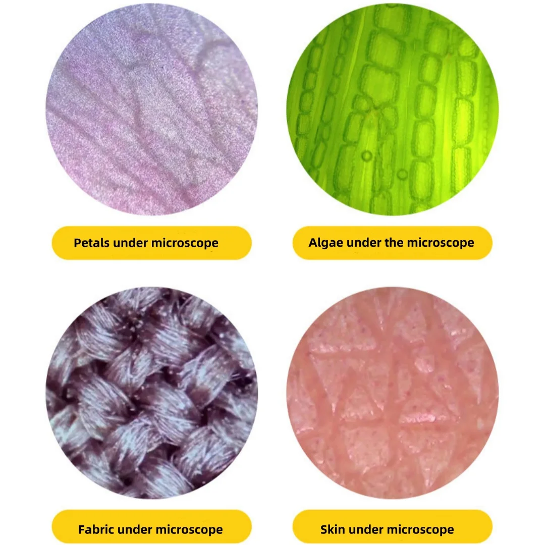 Portable Microscope, Primary School Science Experimental Equipment, Handheld Magnifying Glass, Children's Educational Puzzle Toy