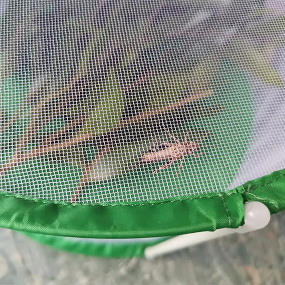 Transparent Mesh Butterfly Habitat Cage Zipper Closure Collapsible Design Mesh Enclosure Cage Cylindrical Shape White with Green