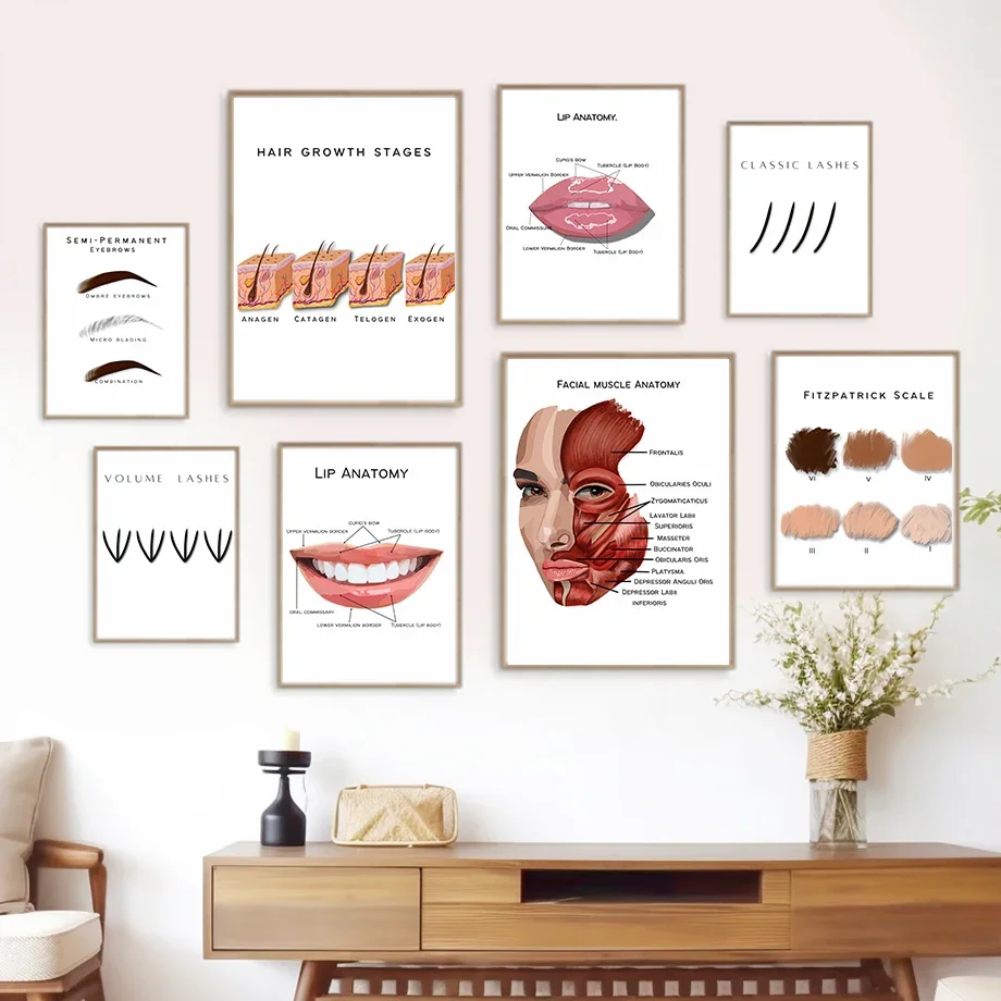 Facial Muscle Anatomy Lip Hair Eyebrow Lashes Fashion Medical Poster Wall Art Prints Canvas Painting Pictures Beauty Salon Decor