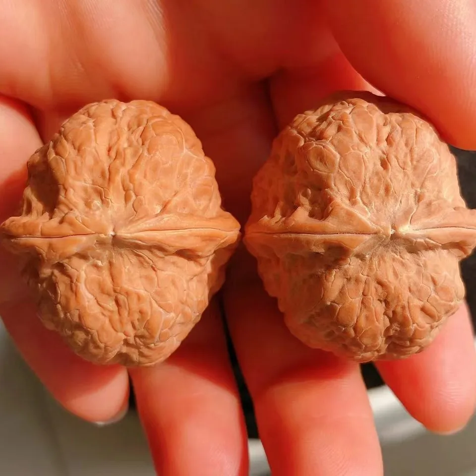 Natural Original Skin Toad Head Iron Walnuts Premium Collectible Wenwan Hand Play Massage for Stress Relief Home Decor Rare Gift