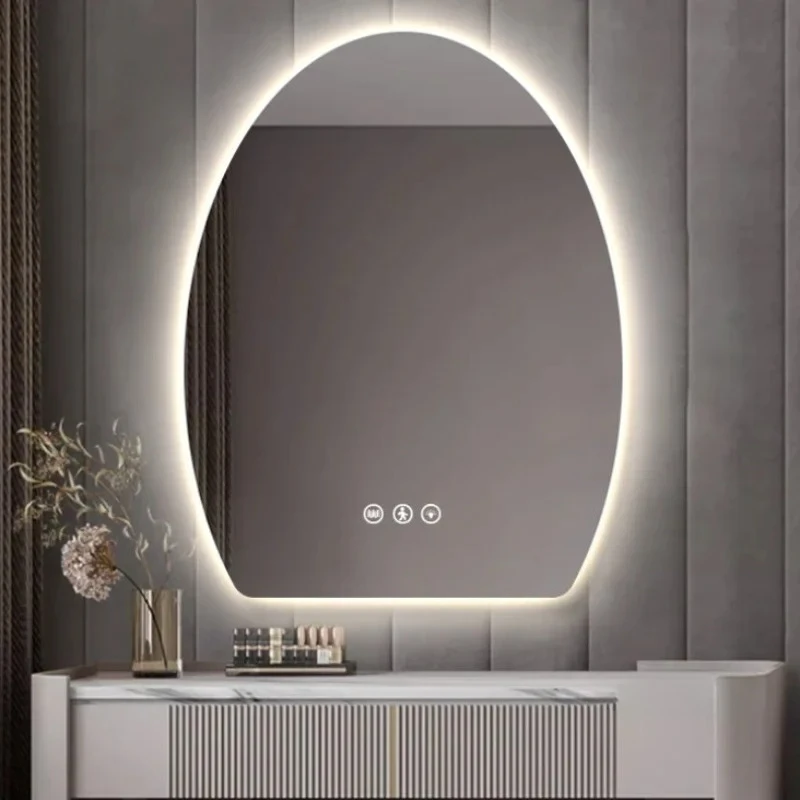 Smart Touch Led Bathroom Mirrors Bedroom Oval Bath Makeup Mirrors Nordic Multifunction Vanity Makeup Mirrors for Bathroom N