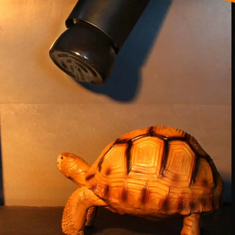 E27 Pet Heating Lamp Infrare Tortoise Spider Reptiles Box Heater Warmer Heat Bulb Brooder 25W 50W 75W 100W 220V tortuga 파충류