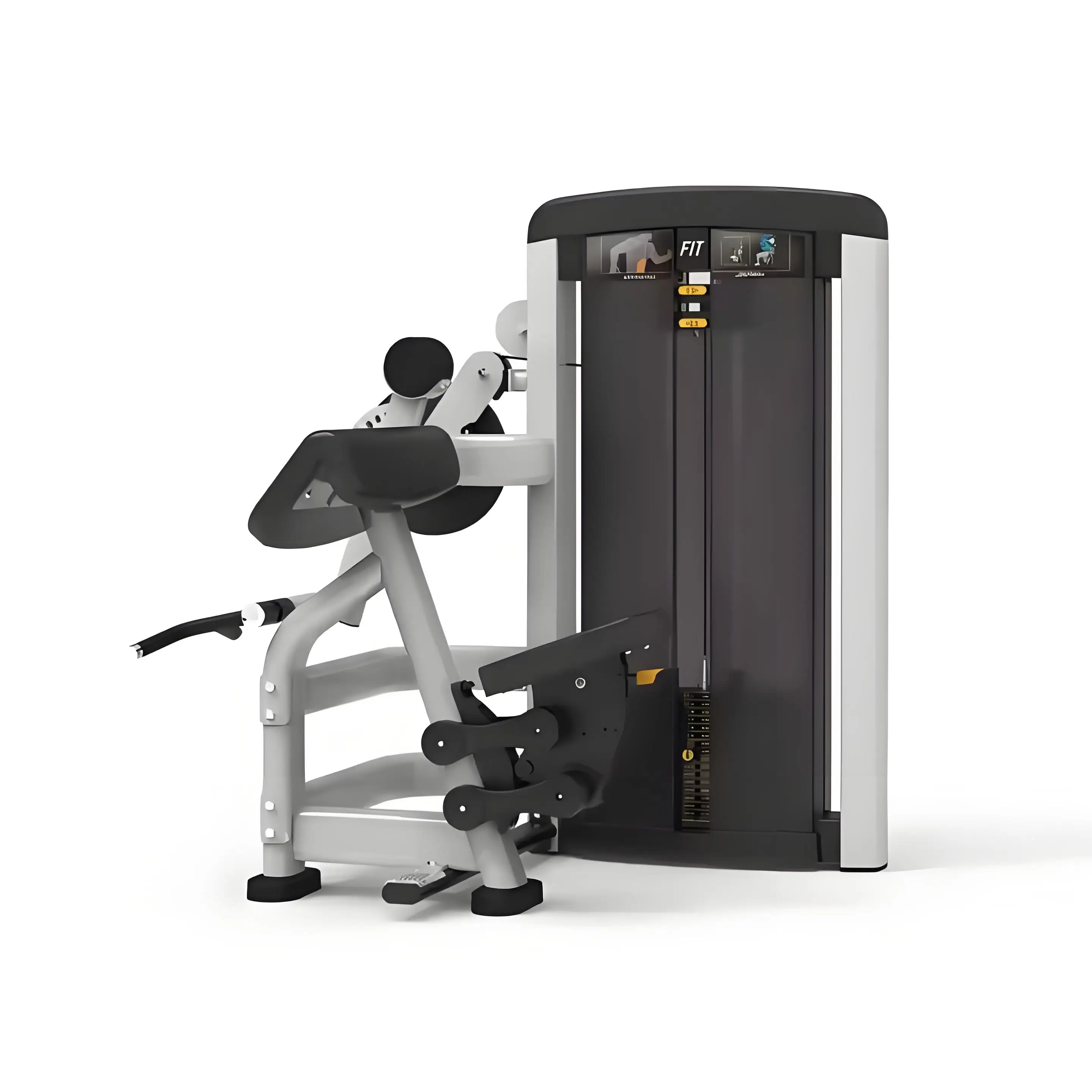 

Biceps & Triceps Trainer Upper Body Workout Professional Gym Equipment Dual Function Strength Training Machine