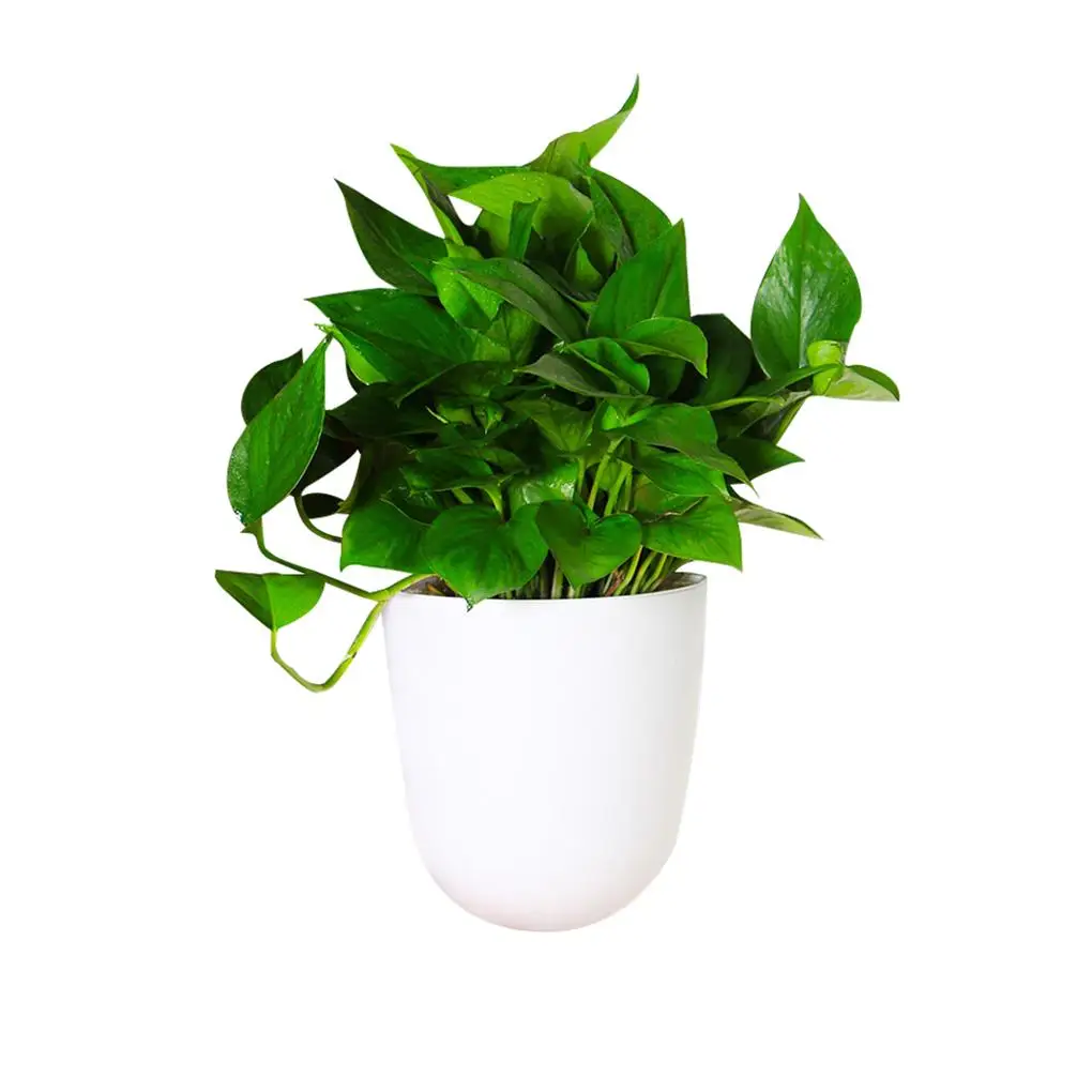 Corner Wall Mounted Flowerpot Self Watering Flower Pot Plastic Basket Large Size Garden Supply Home Planter for Yard