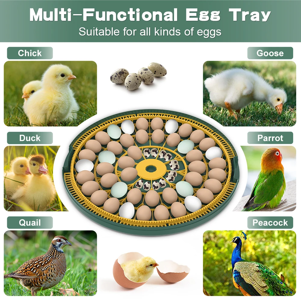 S52 Turkey Incubator For Fertile Chicken Eggs Hatching Machine Project For Small Poultry Farming Design Price Farms Sale