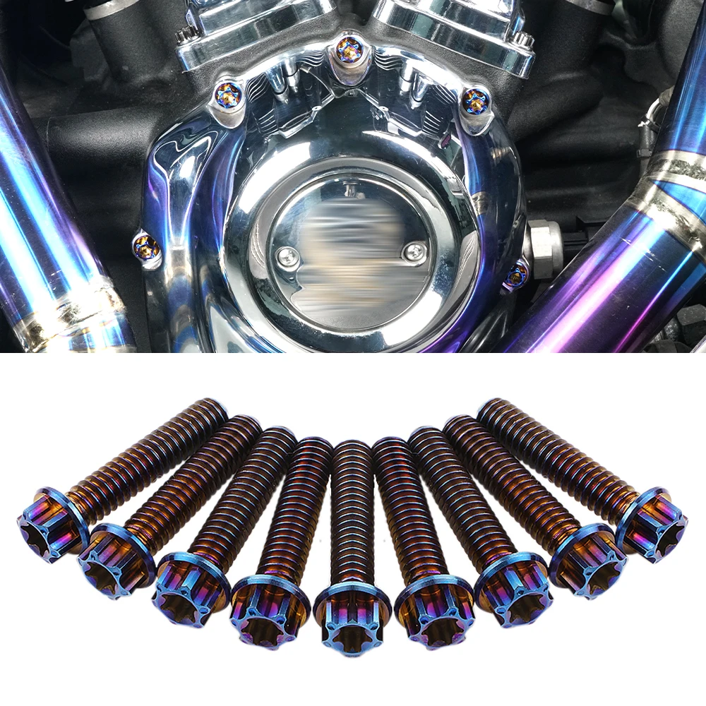 

Motorcycle Cam Cover Screw Bolts for 2018-2022 Harley Breakout FXBR/S Low Rider//S/ST FXLR Softail FXST FXDR FLSB Slim Deluxe