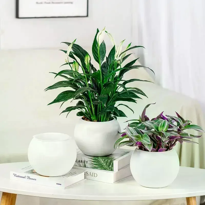 Round Ceramic Plant Pot Matte Textured Surface Two Color Options Perfect For Home Office Indoor Plant Decor