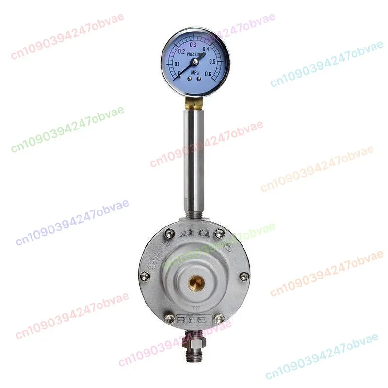 PR-5B Diaphragm Pum… - image